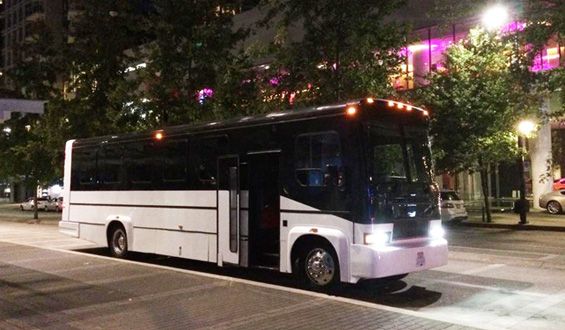 30 Passenger Wedding Party Bus