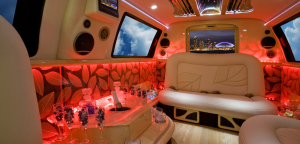 Chilliwack Party Bus Service